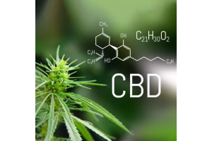 What does a person feel after taking CBD: benefits and side effects